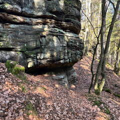 24-02-29 13-49-15 8847